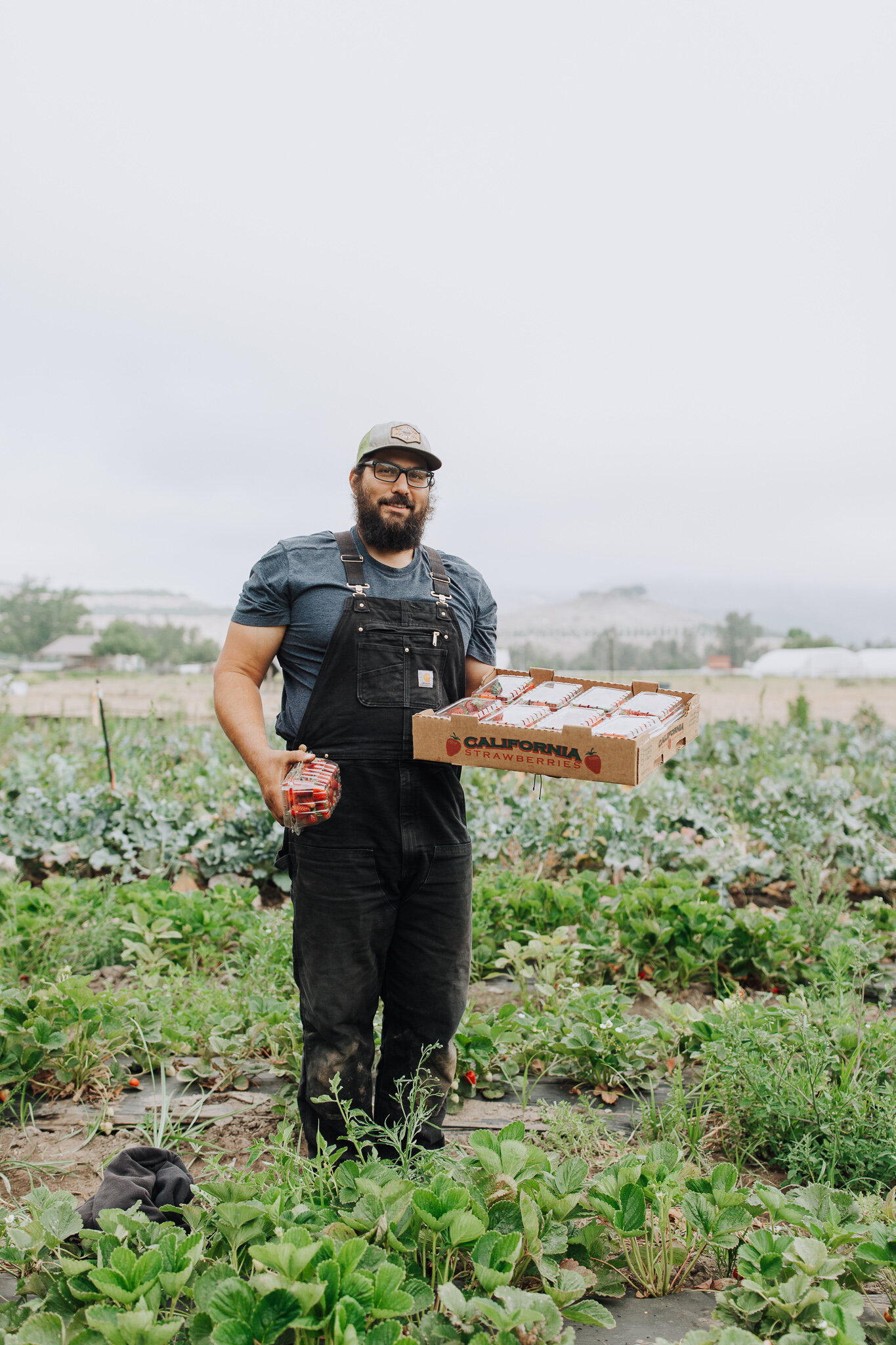 A man standing on a strawberry farm and holding a box of strawberries